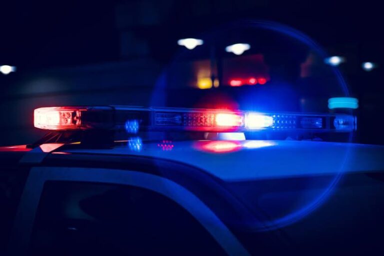Webberville, Michigan – Ingham County Authorities Identify Pedestrian Fatally Struck by Semi on I-96 as Timothy Meagher, 58